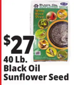 Ocean State Job Lot Black Oil Sunflower Seeds 40 lbs offer