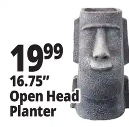 Ocean State Job Lot 16.75 Open Head Planter offer