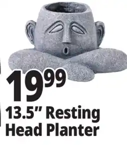 Ocean State Job Lot 13.5 Resting Head Planter offer