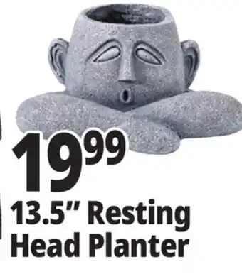 Ocean State Job Lot 13.5 Resting Head Planter offer