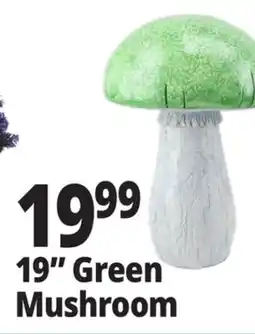 Ocean State Job Lot 19 Green Mushroom offer