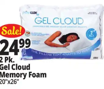 Ocean State Job Lot pureLUX Shapeable Gel Memory Foam Comfort Pillows 2-Count offer