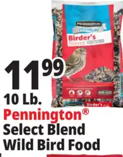 Ocean State Job Lot 10 Lb. Pennington Select Blend Wild Bird Food offer