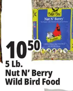 Ocean State Job Lot Better Bird Premium Nut N' Berry Bird Food 5 lbs offer