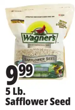 Ocean State Job Lot Wagner's Safflower Seed Deluxe Wild Bird Food offer