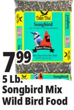 Ocean State Job Lot Better Bird Songbird Better Blends Food 5 lbs offer