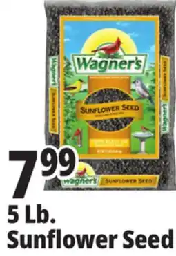 Ocean State Job Lot Wagner's Black Oil Sunflower Seed Wild Bird Food 5 lbs offer