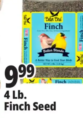 Ocean State Job Lot Better Bird Finch Bird Food 4 lbs offer