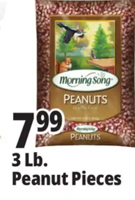 Ocean State Job Lot Morning Song Wildlife Food Peanuts 3 lbs offer