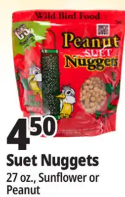 Ocean State Job Lot C&S Sunflower Suet Nuggets 27 oz offer