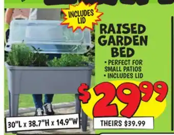 Ollie's RAISED GARDEN BED offer