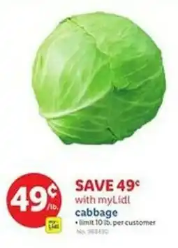 Lidl Cabbage offer