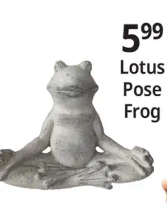 Ocean State Job Lot Lotus Pose Frog offer