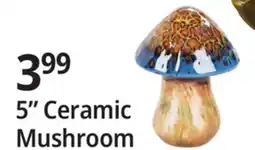 Ocean State Job Lot 5 Ceramic Mushroom offer