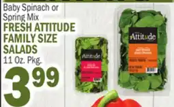 Bravo Supermarkets FRESH ATTITUDE FAMILY SIZE SALADS offer