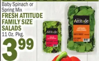 Bravo Supermarkets FRESH ATTITUDE FAMILY SIZE SALADS offer