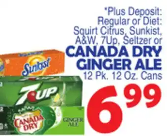 Bravo Supermarkets CANADA DRY GINGER ALE offer