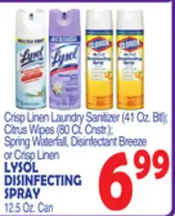 Bravo Supermarkets LYSOL DISINFECTING SPRAY 12.5 Oz. Can offer