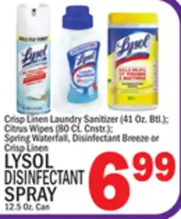 C Town LYSOL DISINFECTANT SPRAY 12.5 Oz. Can offer