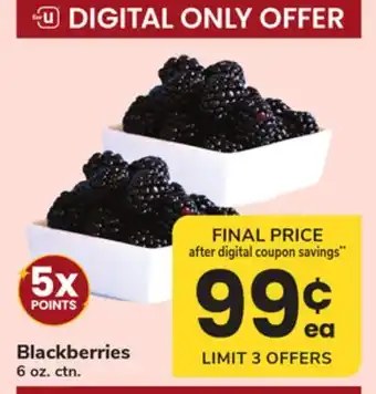 ACME Blackberries offer