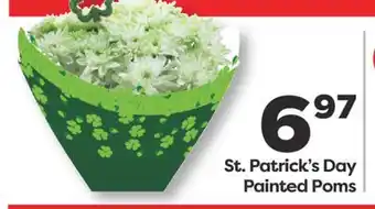 Weis Markets St. Patrick's Day Painted Poms offer