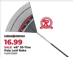 Runnings BLACK DIAMOND 48 30-Tine Poly Leaf Rake offer