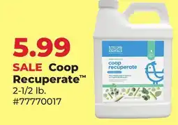 Runnings Coop Recuperate offer