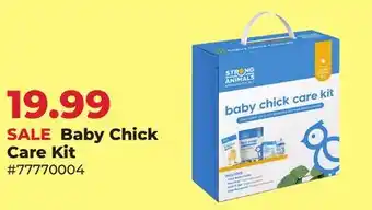 Runnings Baby Chick Care Kit offer