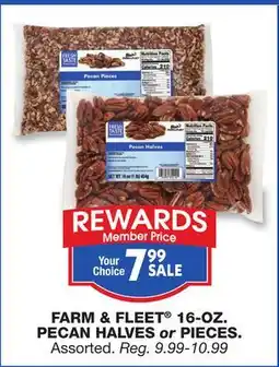 Blain's Farm & Fleet FARM & FLEET 16-OZ. PECAN HALVES or PIECES offer