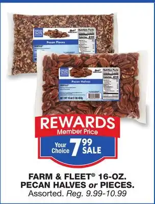 Blain's Farm & Fleet FARM & FLEET 16-OZ. PECAN HALVES or PIECES offer