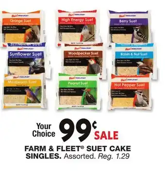 Blain's Farm & Fleet FARM & FLEET SUET CAKE SINGLES offer