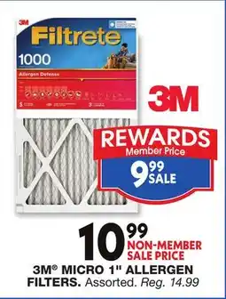 Blain's Farm & Fleet 3M MICRO 1 ALLERGEN FILTERS offer