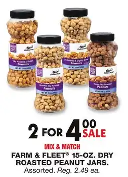 Blain's Farm & Fleet FARM & FLEET 15-OZ. DRY ROASTED PEANUT JARS offer