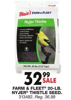 Blain's Farm & Fleet FARM & FLEET 20-LB NYJER THISTLE SEED offer