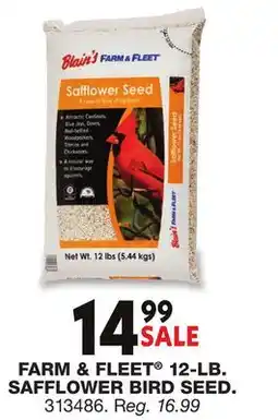 Blain's Farm & Fleet FARM & FLEET 12-LB SAFFLOWER BIRD SEED offer