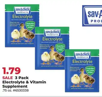 Runnings 3 Pack Electrolyte & Vitamin Supplement offer
