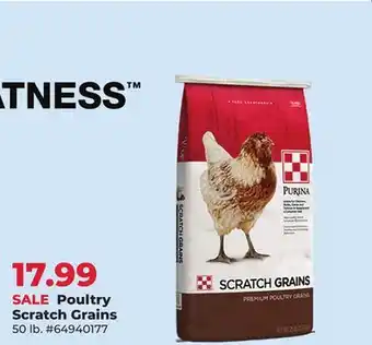 Runnings Poultry Scratch Grains offer