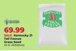 Runnings Kentucky 31 Tall Fescue Grass Seed offer