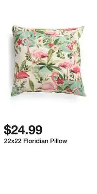 TJ Maxx 22x22 Floridian Pillow offer