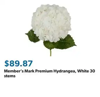 Sam's Club Member's Mark Premium Hydrangea, White 30 stems offer