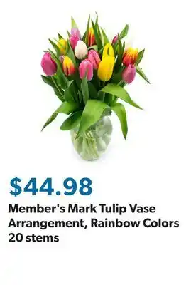 Sam's Club Member's Mark Tulip Vase Arrangement, Rainbow Colors 20 stems offer