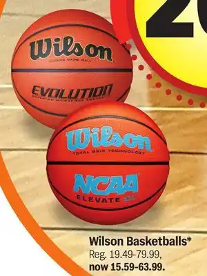 Meijer Wilson Basketballs offer