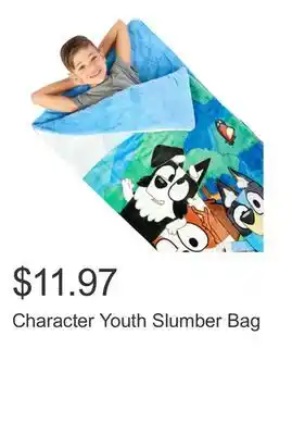 Costco Character Youth Slumber Bag offer