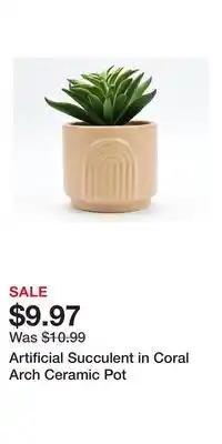 Big Lots Artificial Succulent in Coral Arch Ceramic Pot offer