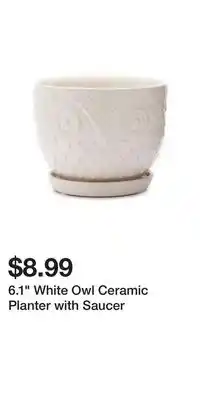 Big Lots 6.1 White Owl Ceramic Planter with Saucer offer