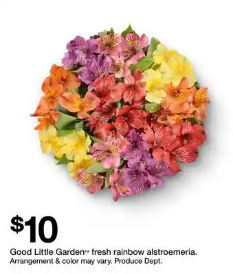 Target Good Little Garden fresh rainbow alstroemeria offer