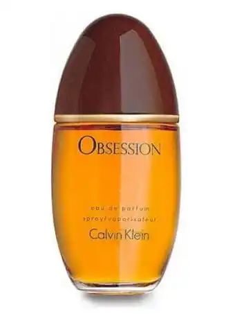 Walmart Calvin Klein Obsession Eau de Parfum, Perfume for Women, 3.4 Oz offer