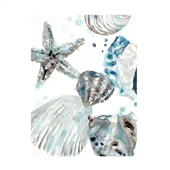 Walmart June Erica Vess 'Cerulean Seashells II' Canvas Art offer