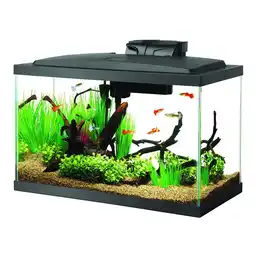 Walmart Aqueon Aquarium Starter Kit, 10 Gallon Glass Fish Tank, LED Lighting, Filter and Heater offer