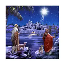 Walmart The Macneil Studio 'Star Of Bethlehem' Canvas Art offer